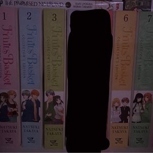 fruits basket manga!